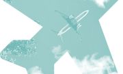 zur Veranstaltung Zukunftsperspektiven des nachhaltigen Luftverkehrs: Flughäfen - Airlines - Regulierungen